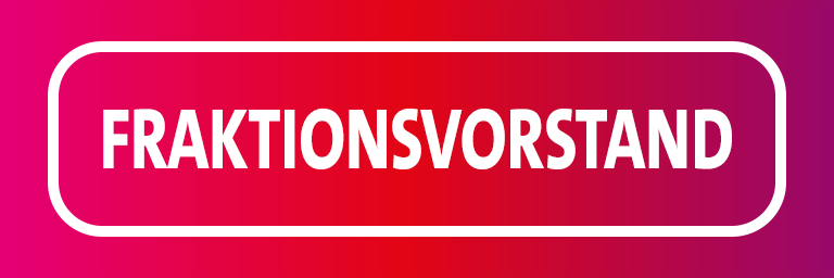 Fraktionsvorstand